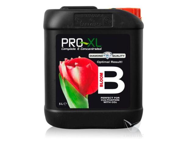 BLOOM A+B - Imagen 5