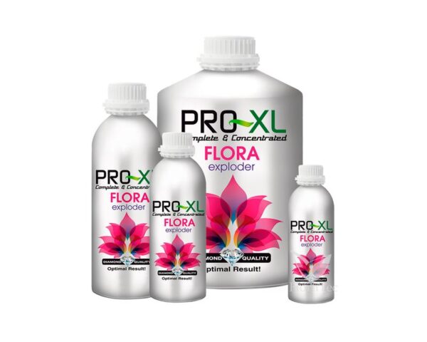 FLORA EXPLODER - Imagen 4
