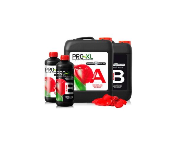 BLOOM A+B